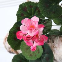 uploads/erp/collection/images/Home Garden/CongDing/XU0611411/img_b/XU0611411_img_b_5